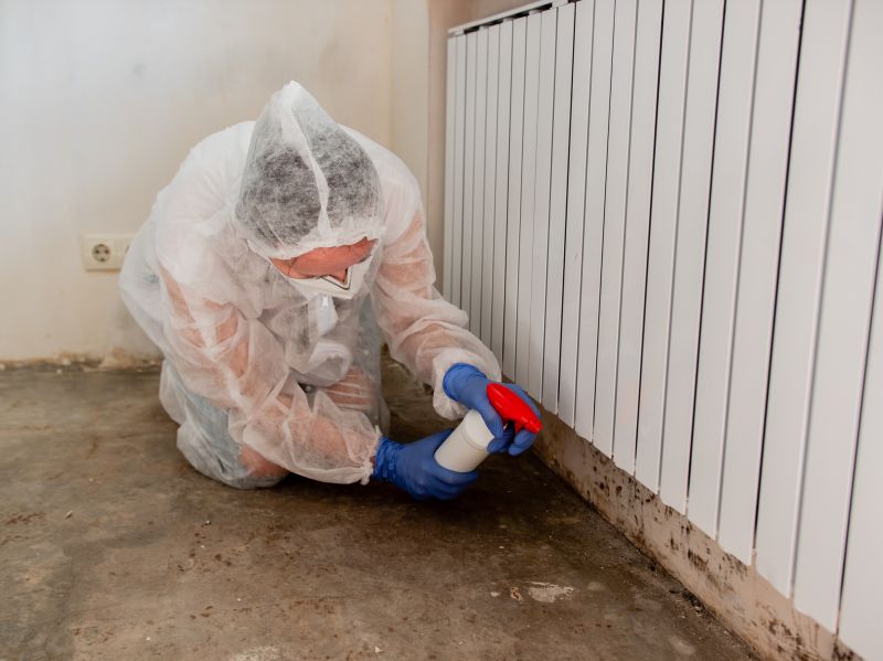 Attic Mold Remediation in Bergen County, NJ
