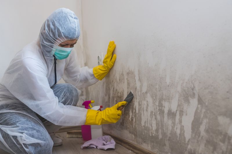 Basement Mold Remediation in West Palm Beach, FL