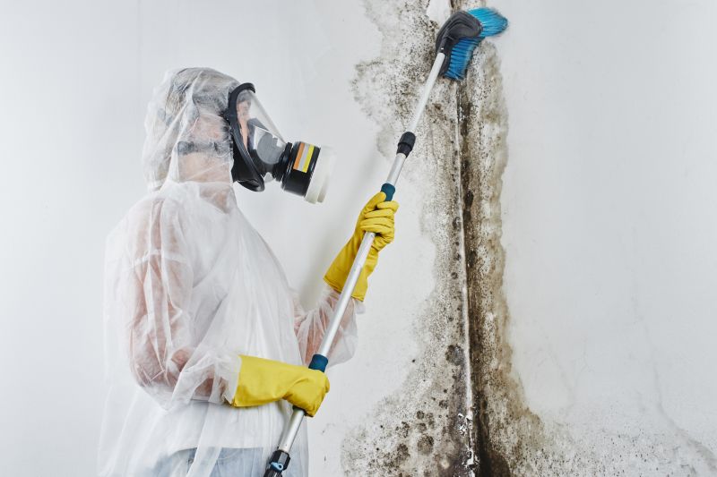 Basement Mold Remediation in Dallas, TX