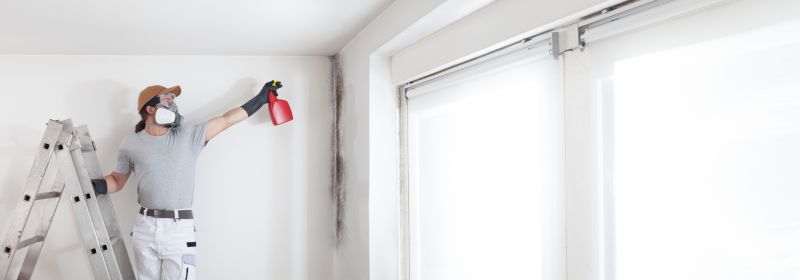 Basement Mold Remediation in Jupiter, FL
