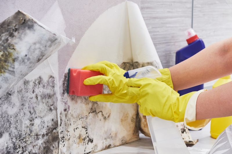 Crawl Space Mold Removal in Essex County, NJ
