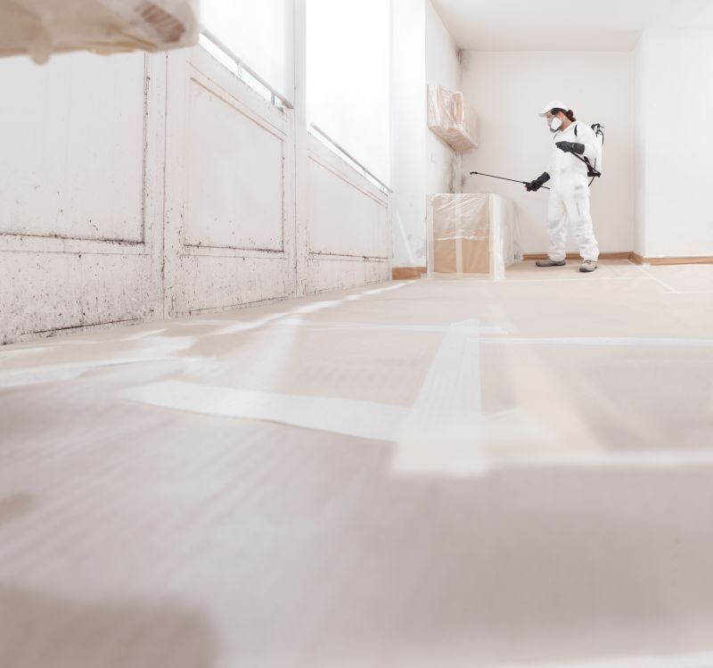 Crawlspace Mold Remediation in Jupiter, FL