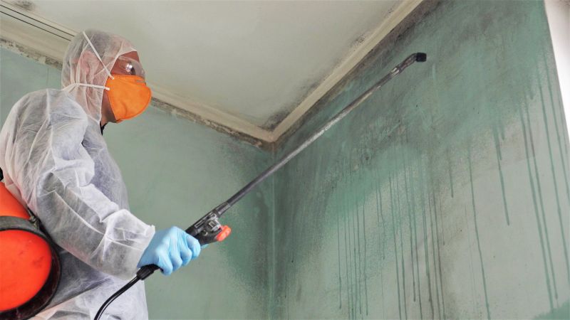 Mold Cleanup Service in Frisco, TX