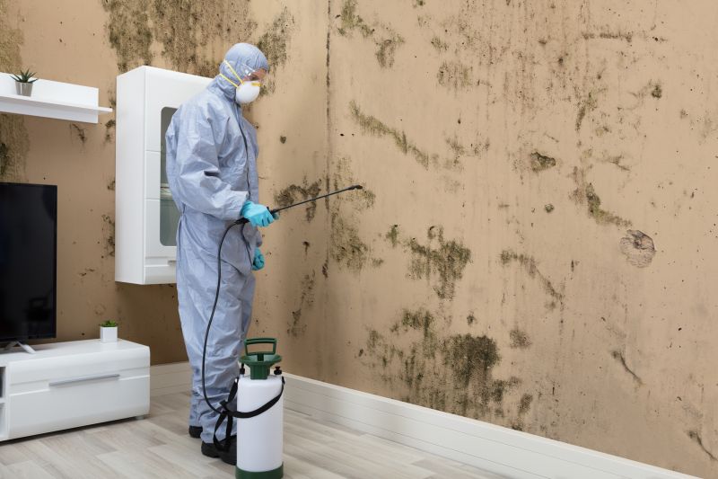 Mold Control in Bergen County, NJ