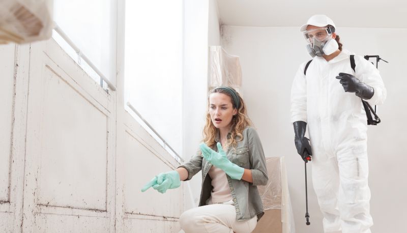 Mold Mitigation