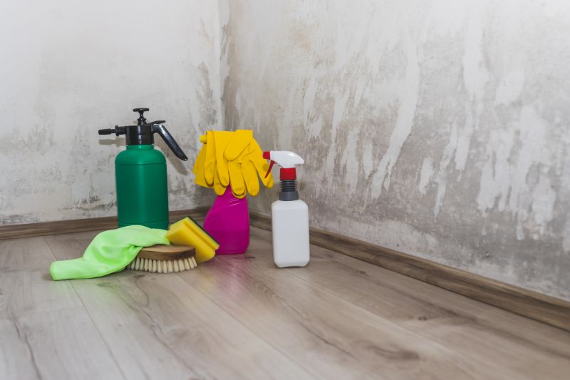 Mold Mitigation Service in Frisco, TX