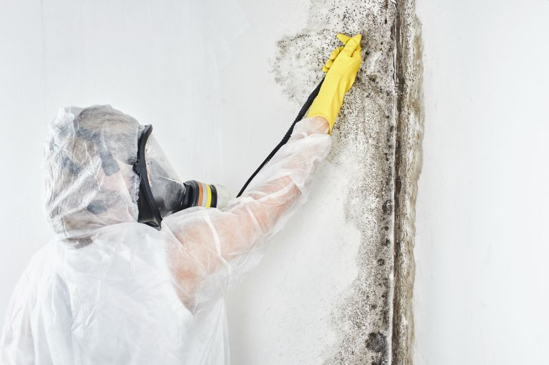 Black Friday Mold Mitigation Offers