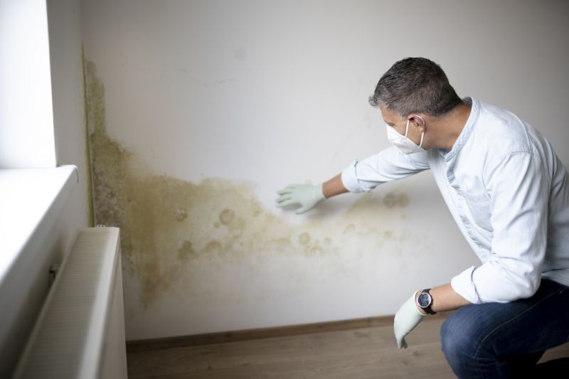 Expert Mold Inspection