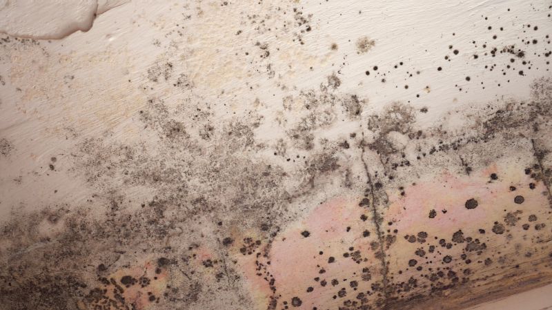 Mold on Ceiling