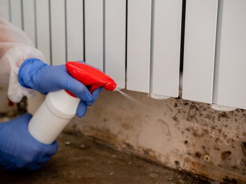 Attic Mold Removal in Fort Worth, TX
