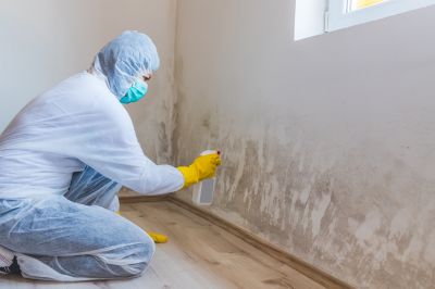 Basement Mold Removal in Bergen County, NJ