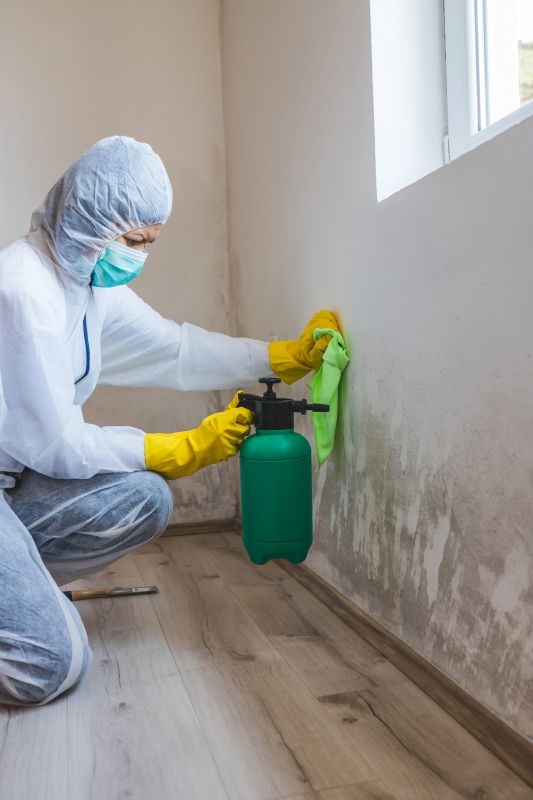 Mold Abatement Service in Fort Worth, TX